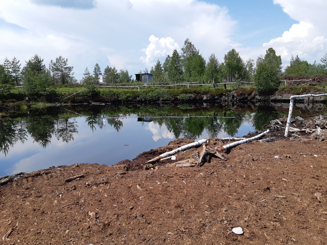 04.21 - 20180601_121132 (PiTT)