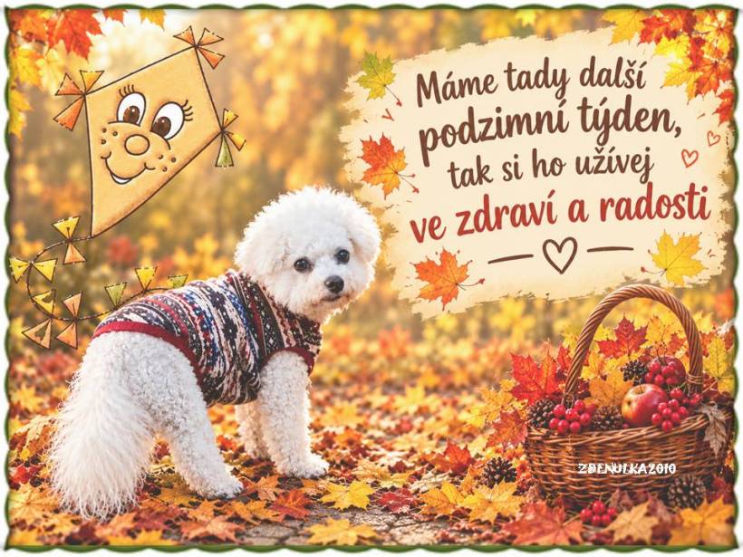 podzim-s-Ruzenkou