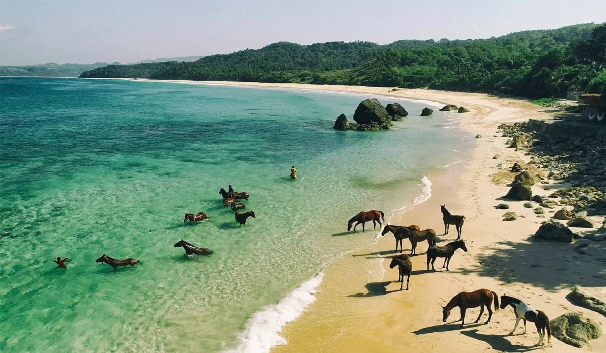 Keindahan Alam Sumba, Surga Tersembunyi di Timur Indonesia