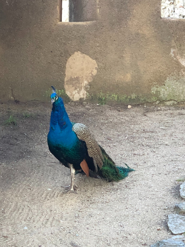 319B7CA2-6732-44F2-B3C6-8A69F80FBE15