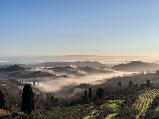 DIA 3. MONTEREGIONNI. SIENA. PIENZA. - Respirar y saborear la Toscana. 9 días (1)