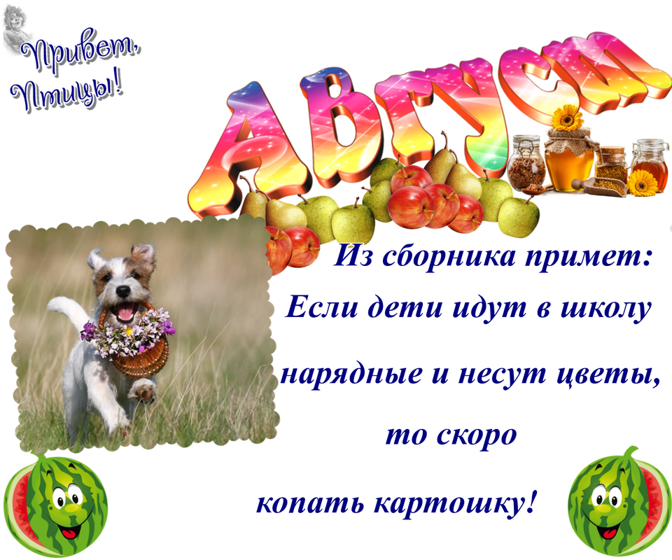 https://i.postimg.cc/ZRZX0YvV/30-08.png