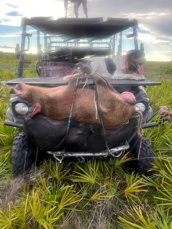 FB_IMG_1757279362681 (1)