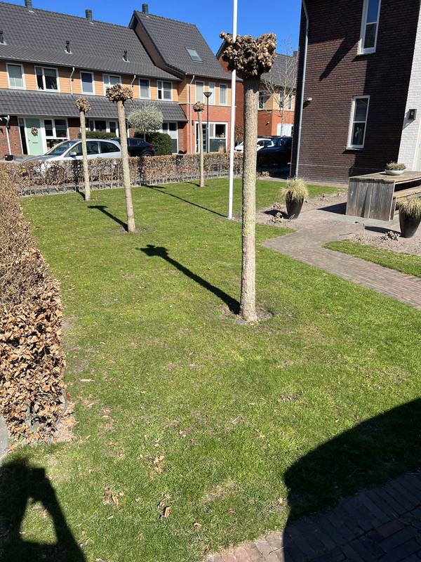 04B1E540-D528-4733-92D1-3697EBD89804