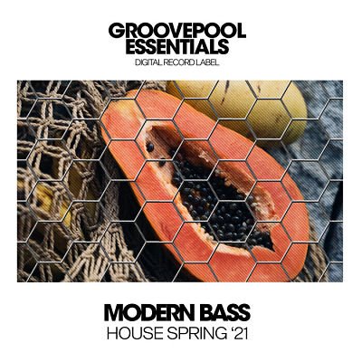 VA - Modern Bass House (Spring '21) (04/2021) MM1