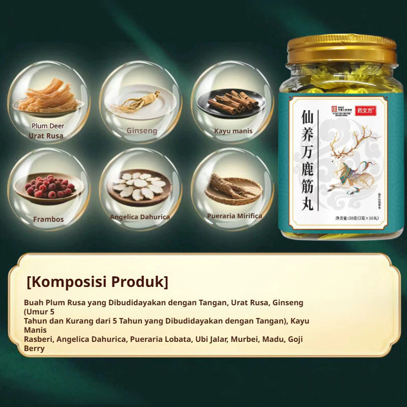 OsteoDeer Pro Gambar 6 - Tendon 2