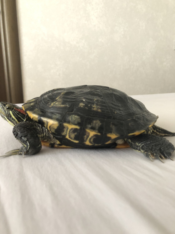 A9830051-34B6-4BD8-8C59-3F3968ACCB16