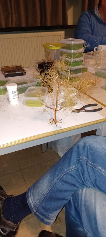 WhatsApp Image 2024-11-22 at 09.44.39 (1)