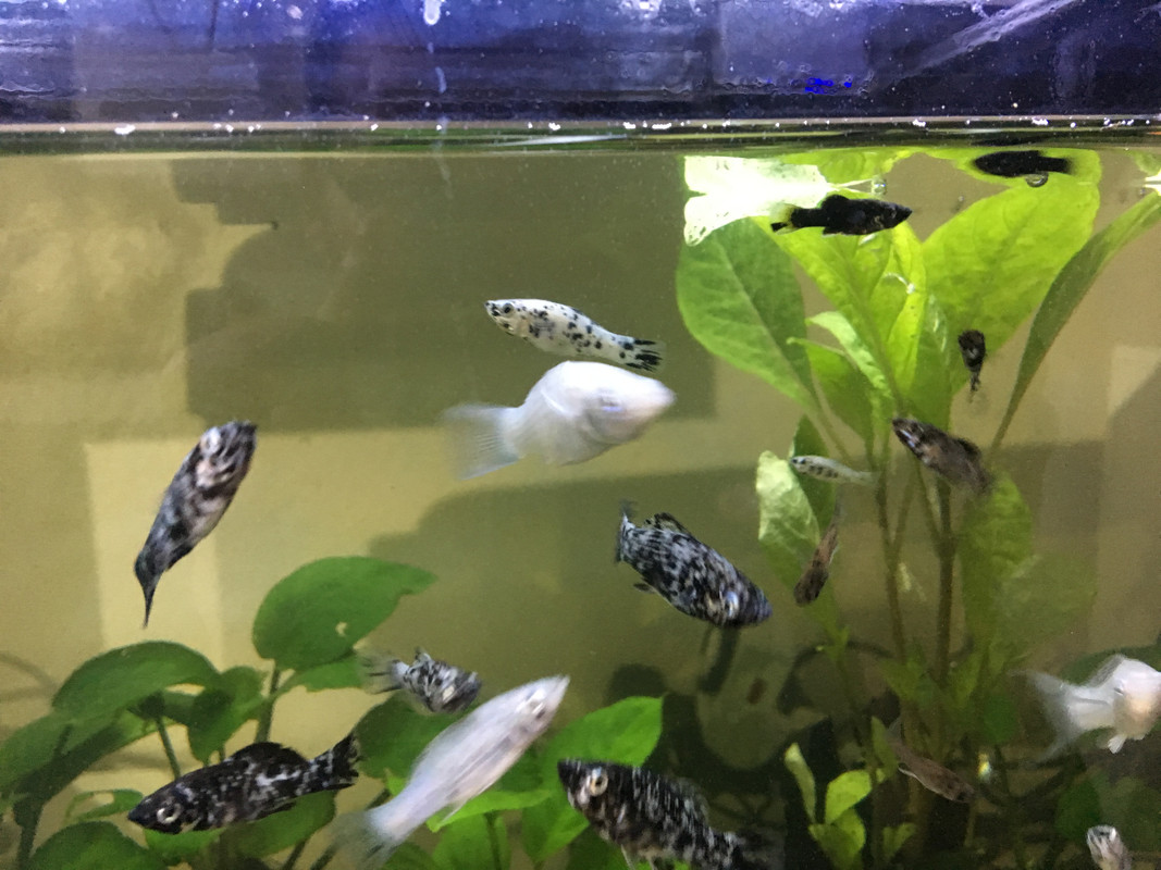 104B6A93-2952-4420-ABDD-3F3E9A64F749