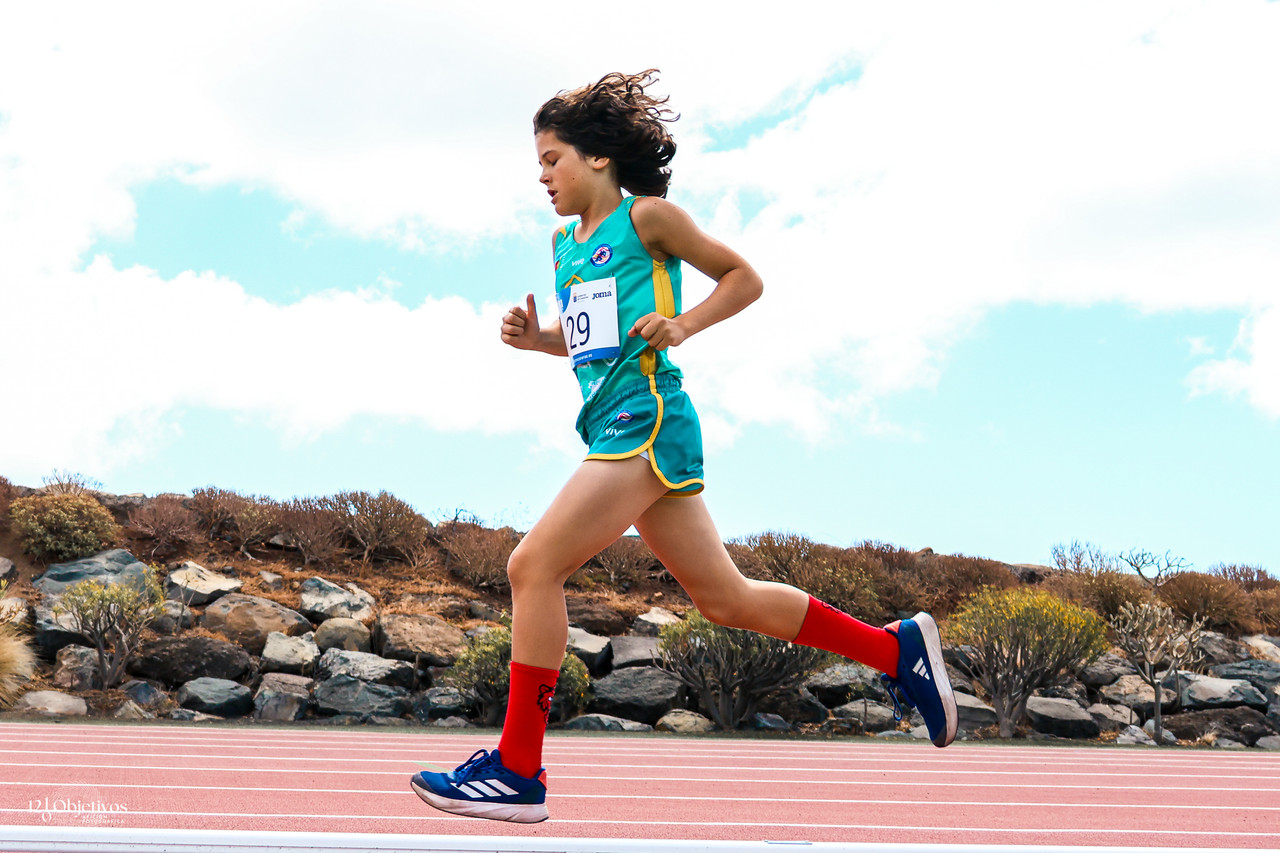 Canary Run 61