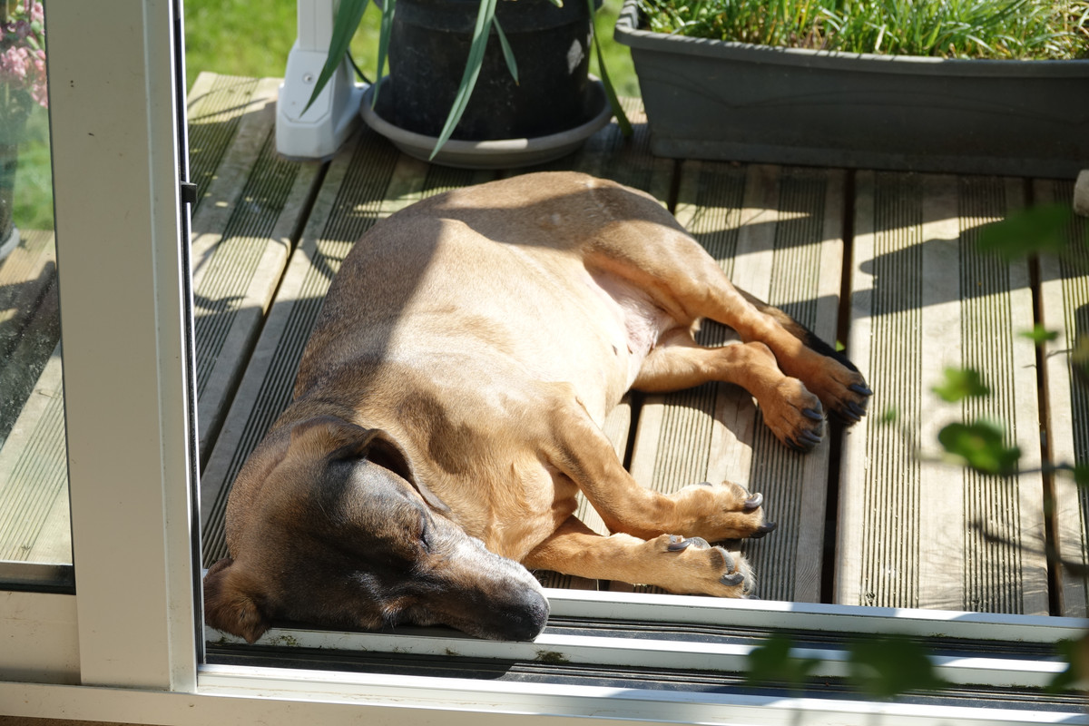 [Image: DSC01405.jpg]