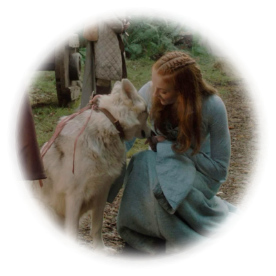 sansa stark, game of thrones. selfhood.