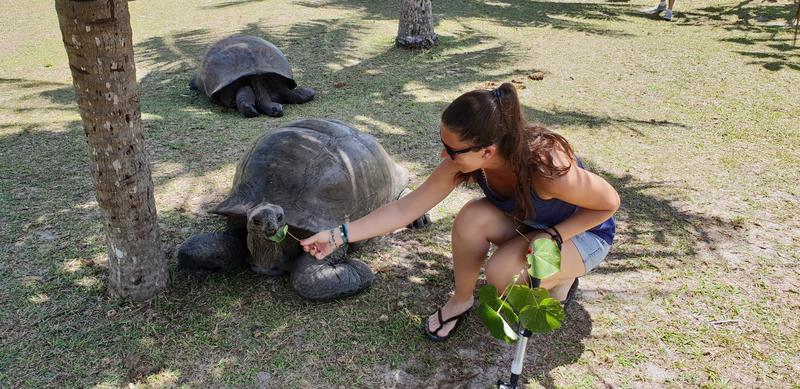 Seychelles-2ª parte de nuestra luna de miel. Se puede pedir más? - Blogs de Seychelles - DÍA 3:  PRASLIN – CURIEUSE ISLAND – SAINT PIERRE (25)