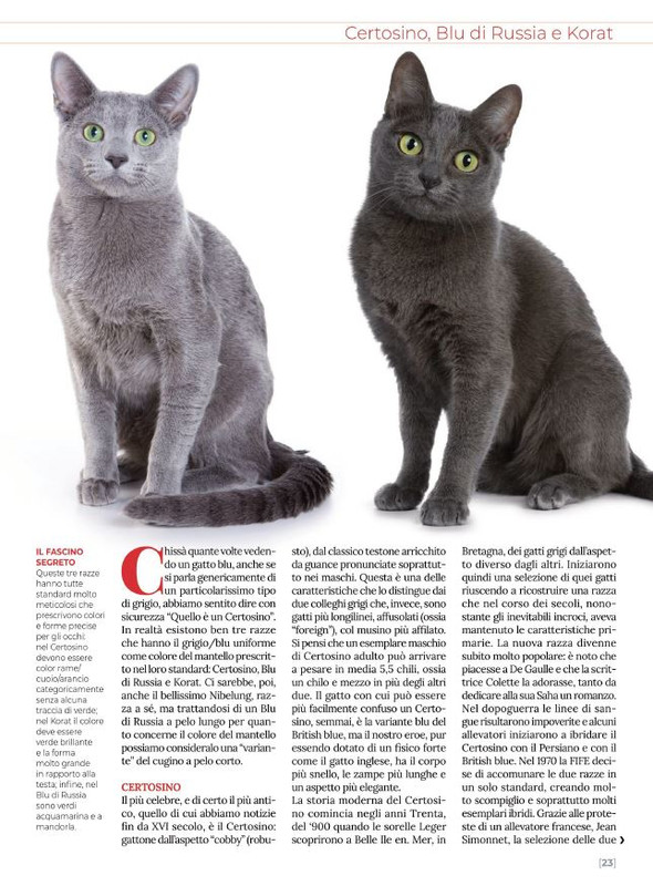 Ga Ma Giu-Lug 2021 (4)