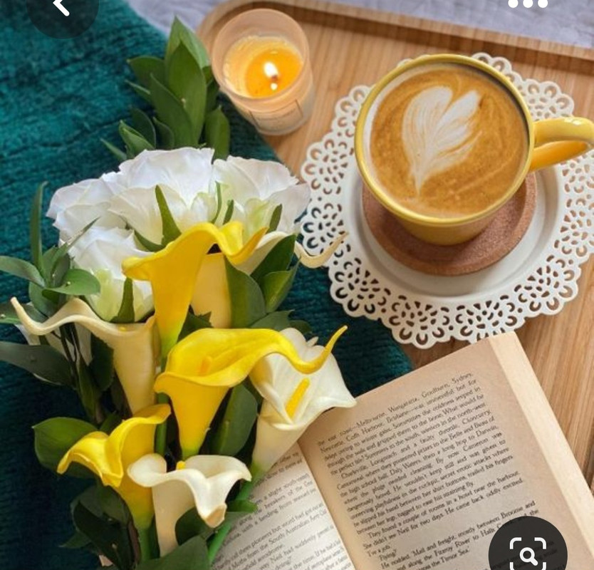 Screenshot_20230808_002004_Pinterest