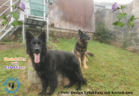 liebe-Gr-e-GB-19-09-2025