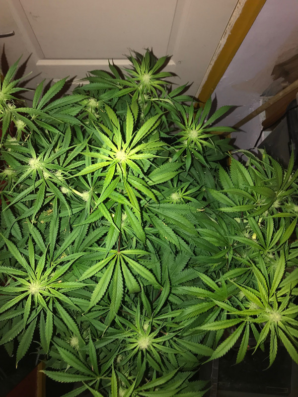 D11E8802-0BBF-47E7-9677-E8F555B4579E