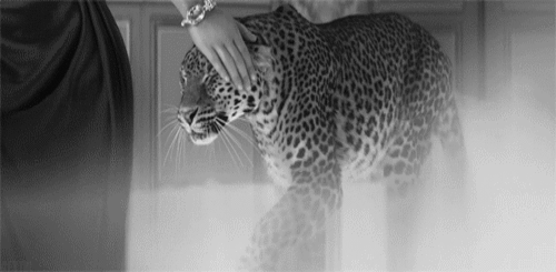 427EFE6A-5D0B-4019-B93A-806C472CC5A1.gif