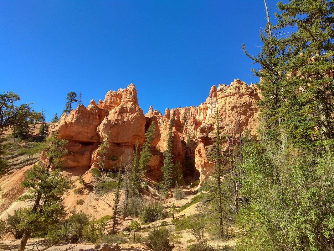 IMG_20180914_102529_HDR