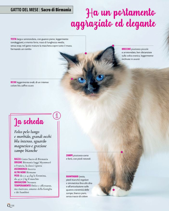 QuattroZampe Ago 2021 (11)