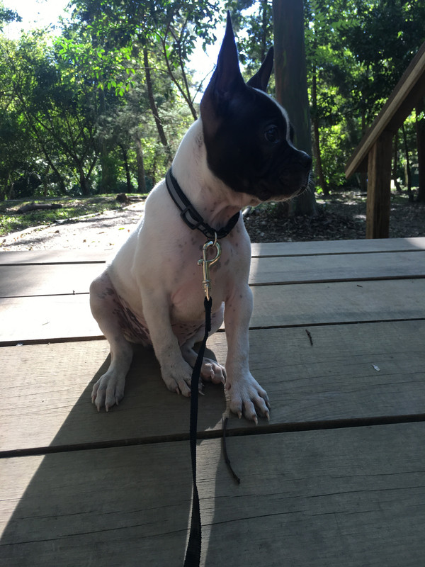 C3657697-F902-49D7-8F1B-86ED02DE3007