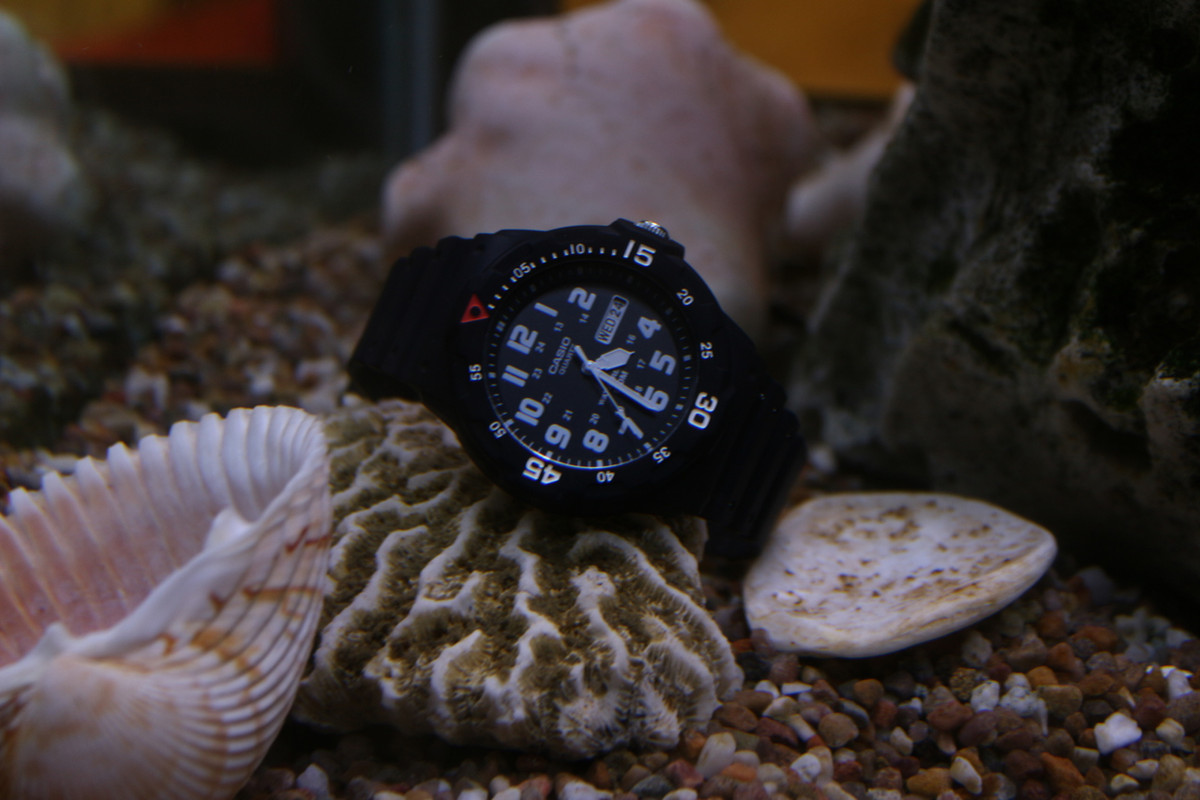 IMG 2705 — Postimages