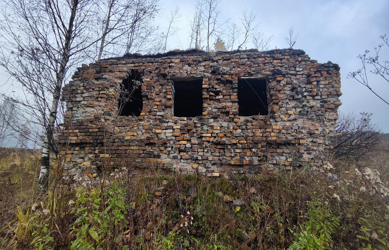 PA061969b.jpg