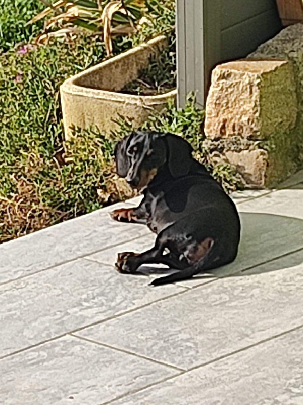 [Image: received-817596422808237.jpg]