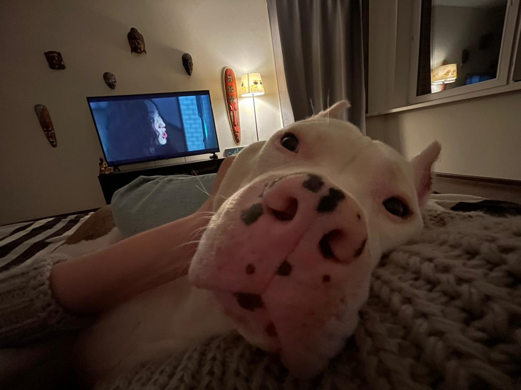 E347965D-C644-4DB0-B517-DBF07CE3BA5E