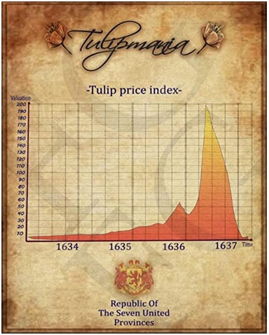 Tulip-Mania.jpg