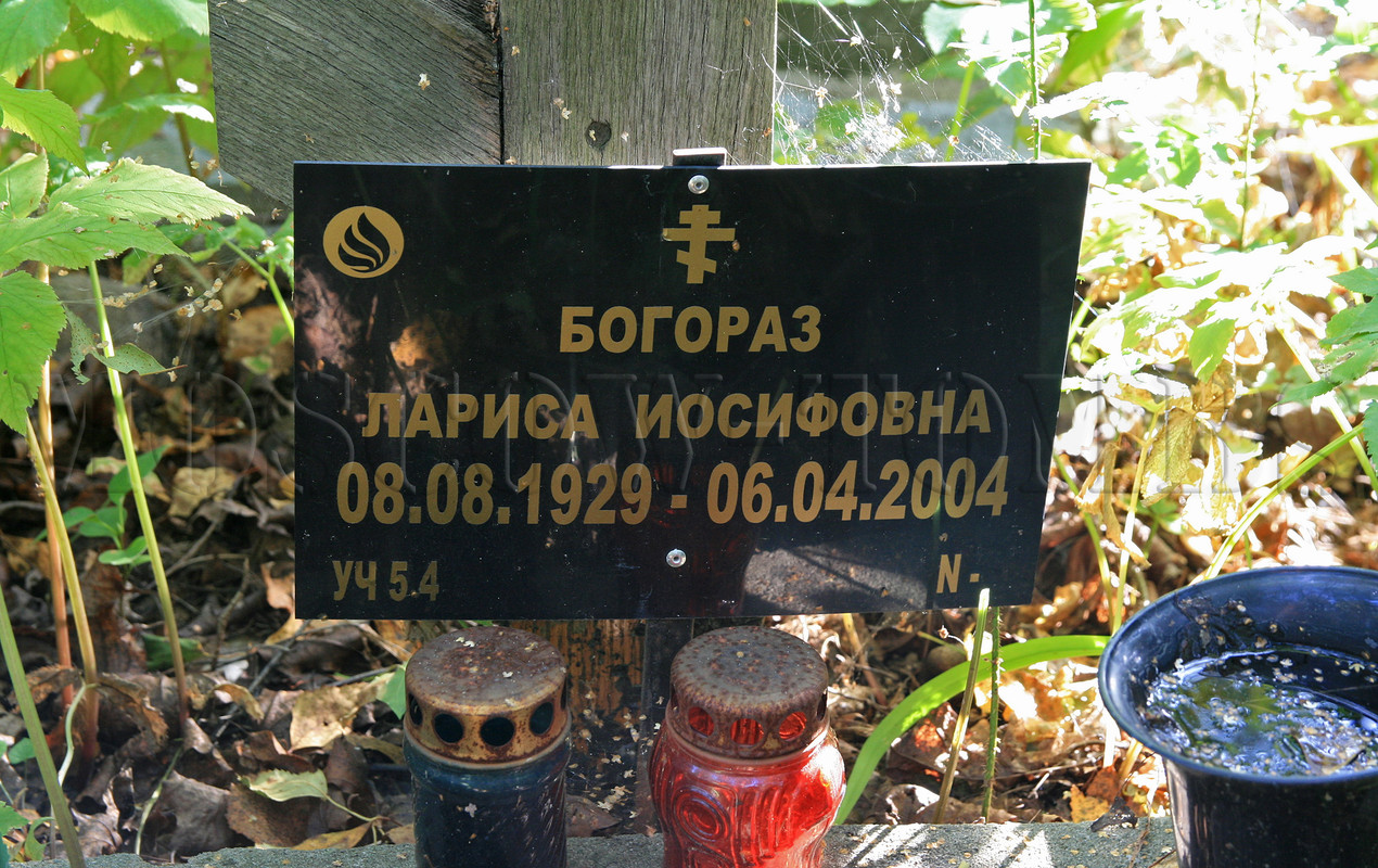 bogoraz-li-2