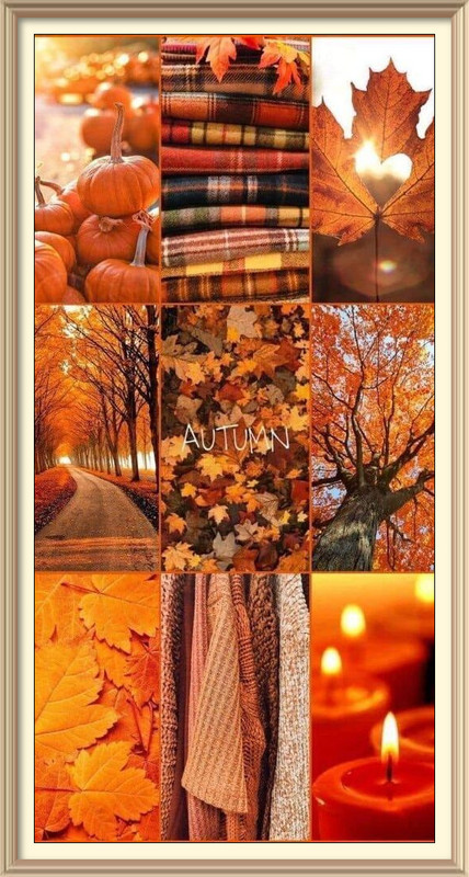 imageedit-3-2139365941