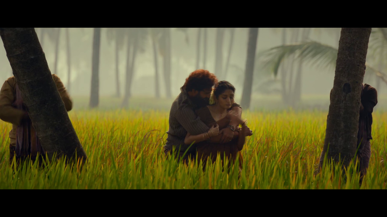 vlcsnap-2025-07-19-14h47m59s476