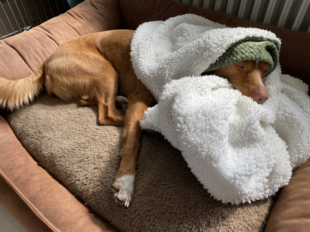 476C4A16-8F2B-4C38-88EF-717AFF1AE63D