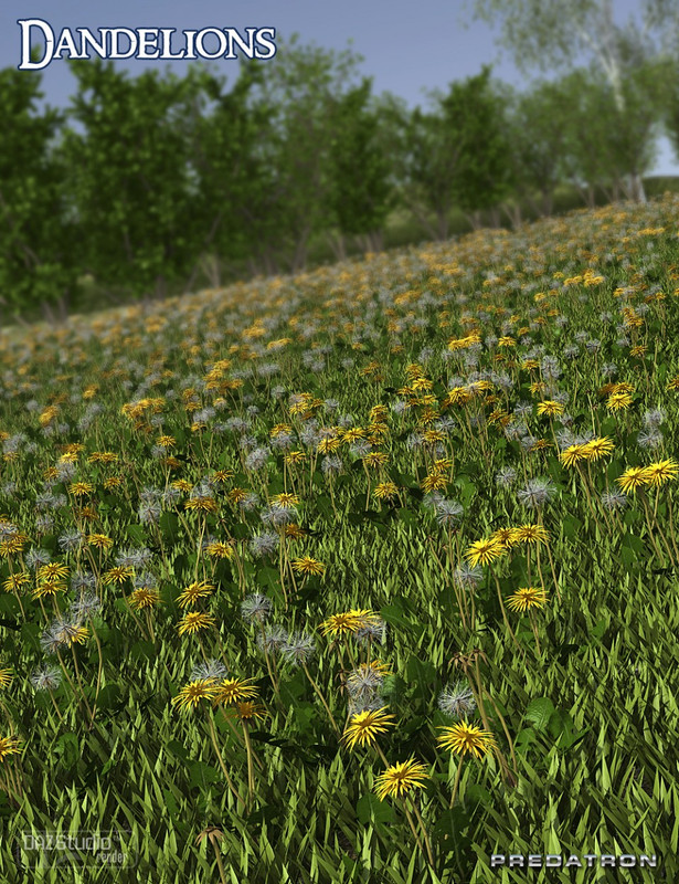 Predatron Dandelions Predatron Dandelions