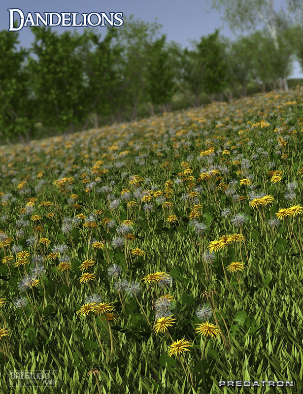 Predatron Dandelions