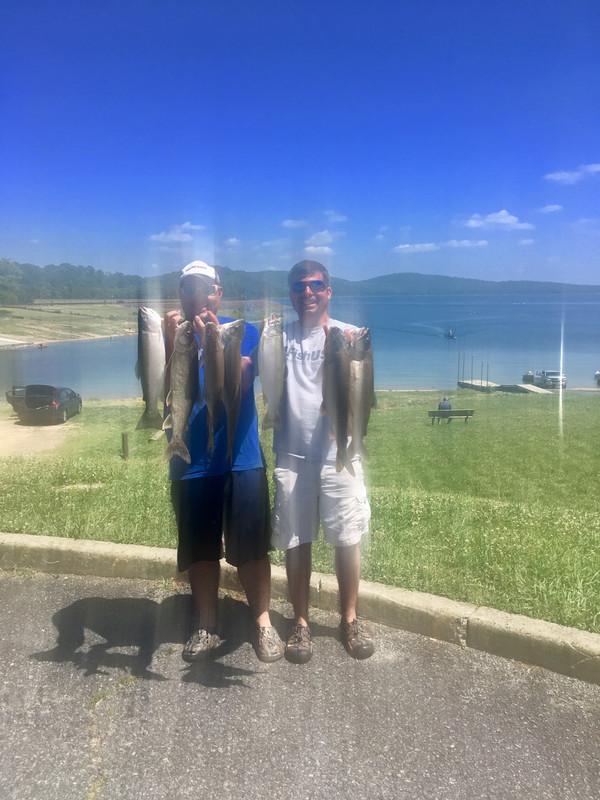 BCED7A64-43CD-4642-85AF-17DF06E839C8