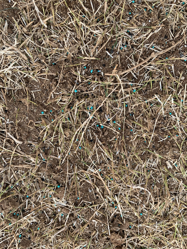 B8241334-02C3-43A1-B7EA-49368981BC82