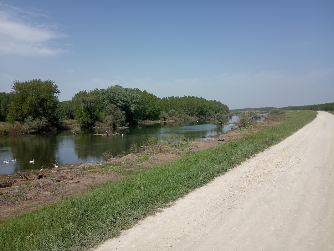 [Slika: IMG-20190425-121516.jpg]
