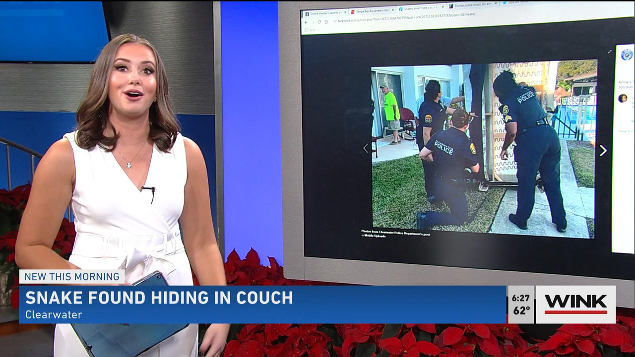 12.05 - 11.00.00 - WINK News @ 6 00AM Sunday. Local news, sports and ....ts_snapshot_00.28.34_[2021.