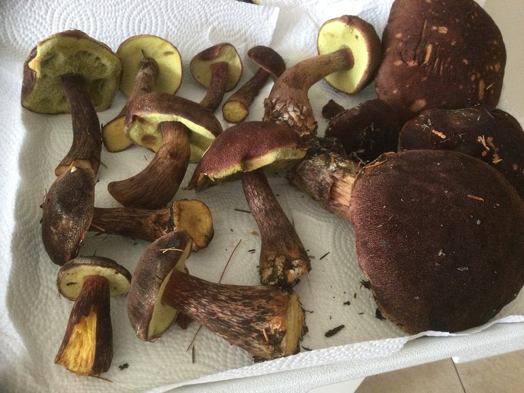 DA294042-7BE7-4FED-914A-E0C70957809A