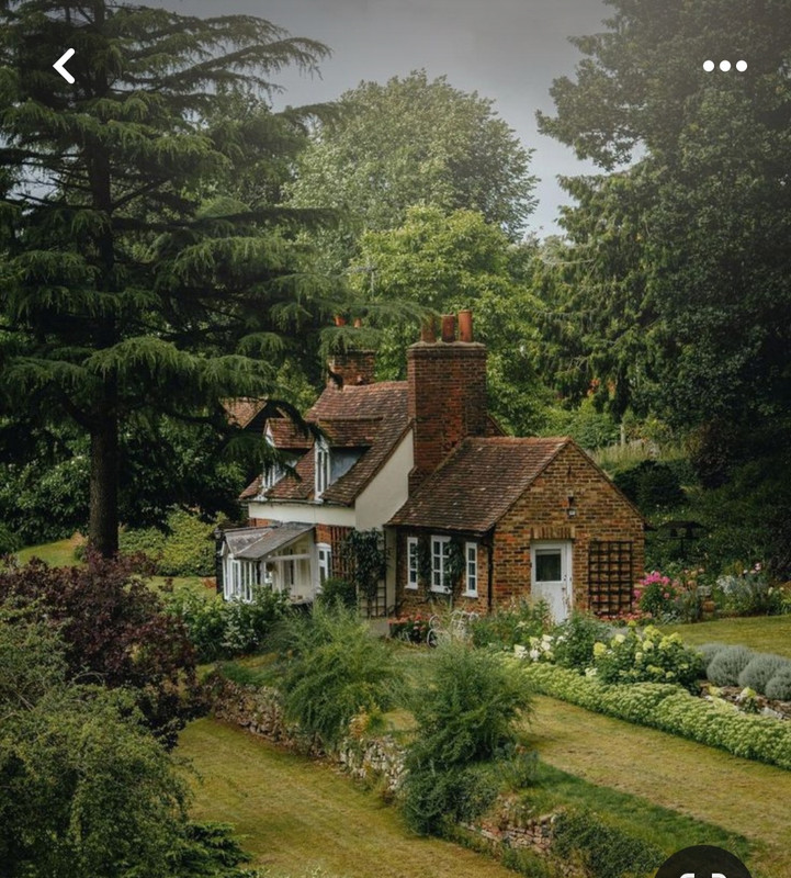 Screenshot_20240325_233912_Pinterest