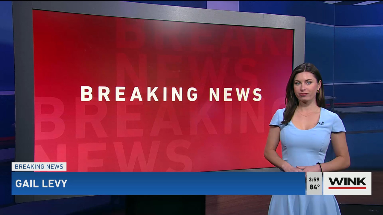 01.31 - 20.00.00 - WINK News at 3pm  ᴺᵉʷ..ts_snapshot_01.05.52.799