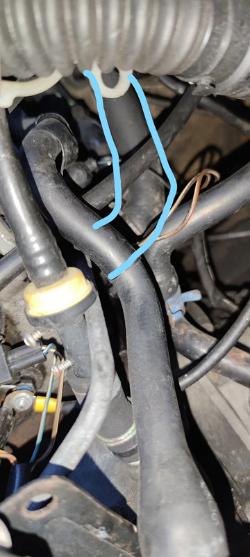 Inked158942023_461736071640279_6211449475408504554_n_LI