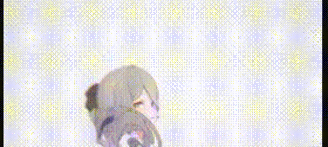 FEFBAE2667F572DE8D24E563A5C4011F