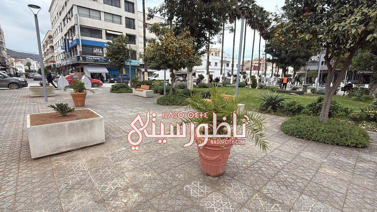 627196221-794191072956627-6091262181027990528-n