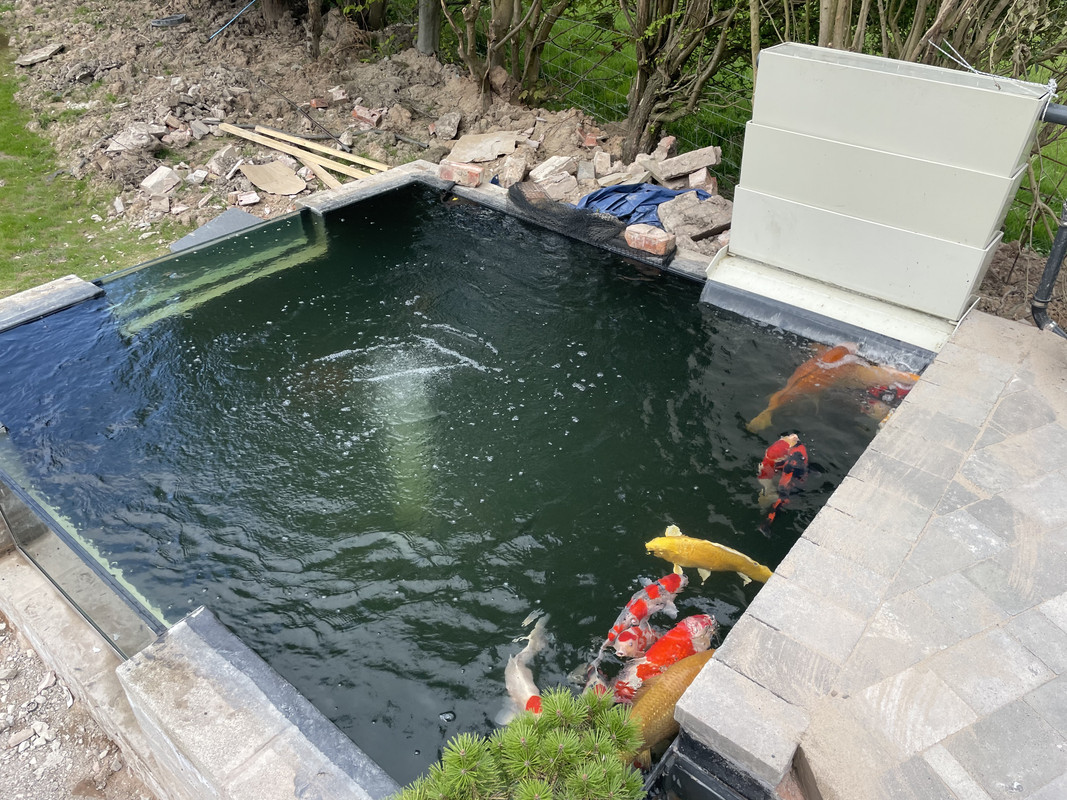 00B5487A-6DCC-472D-94EC-99F45F6886D4