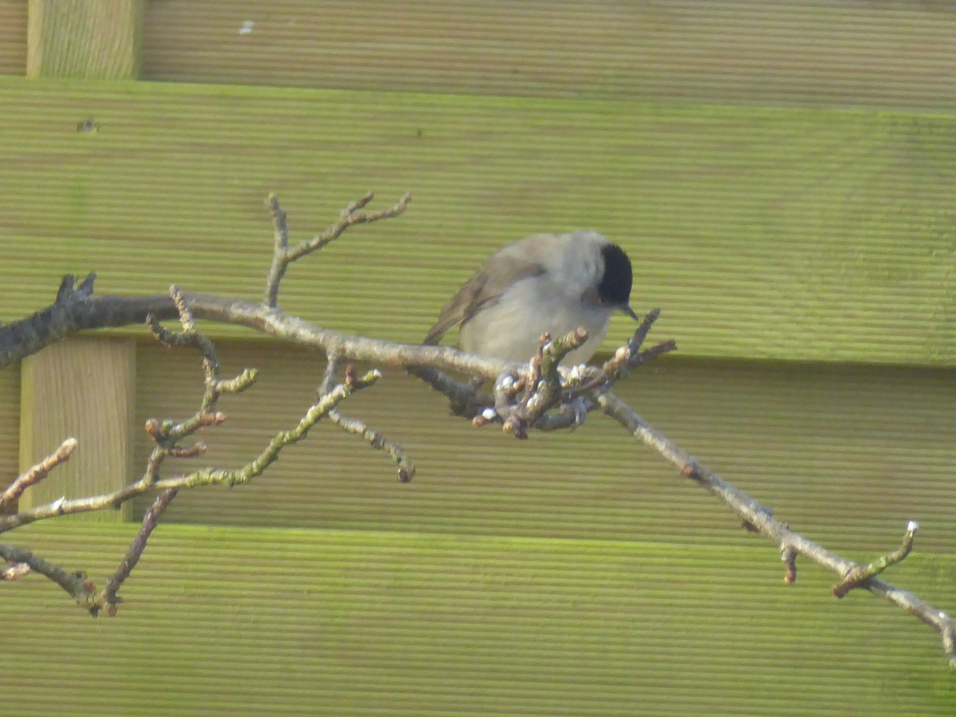 B44E2580-42BC-49C0-A69D-858F24EA75EA