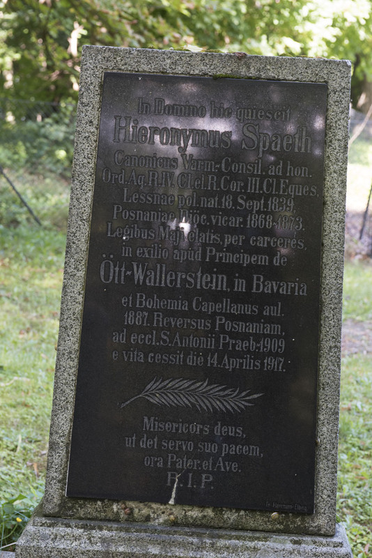 17.18 - NEW_9234 (Konfiturek)