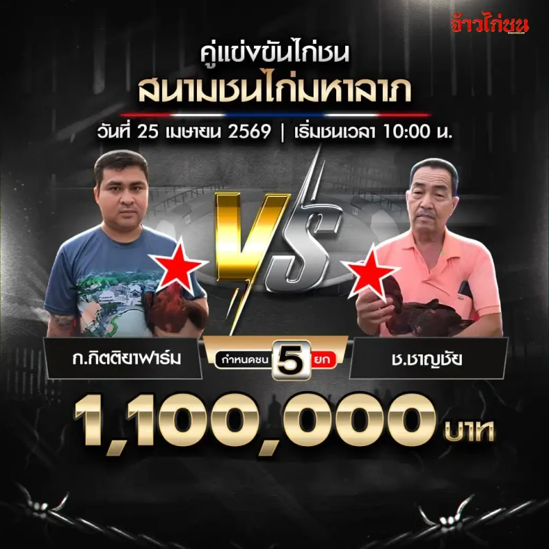ก.กิตติยาฟาร์ม พบ ช.ชาญชัย โปรแกรมไก่ชน สนามชนไก่มหาลาภ วันที่ 25 เมษายน 2569